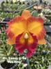 Rlc. Saeng U-sa Fire Ring